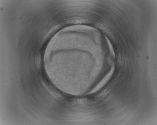 X0000075920304200610062214