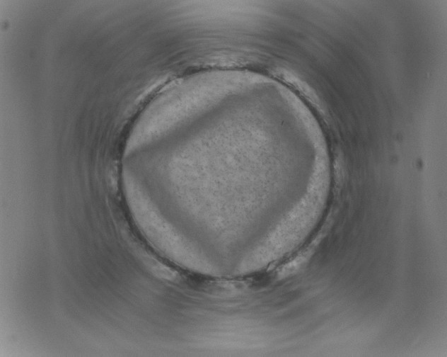 X0000075920305200610062214