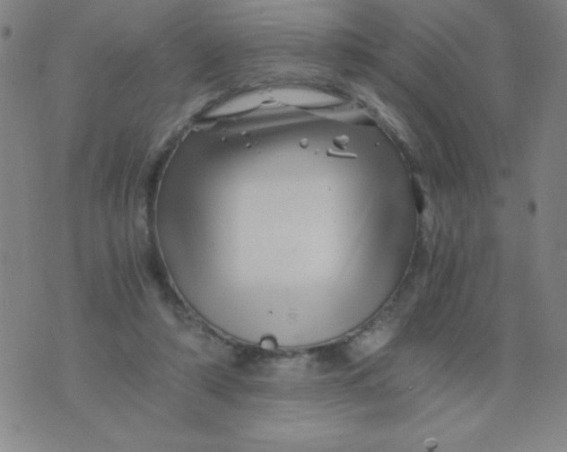 X0000075920306200610062214