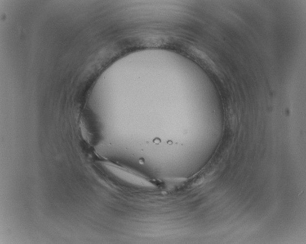 X0000075920307200610062214