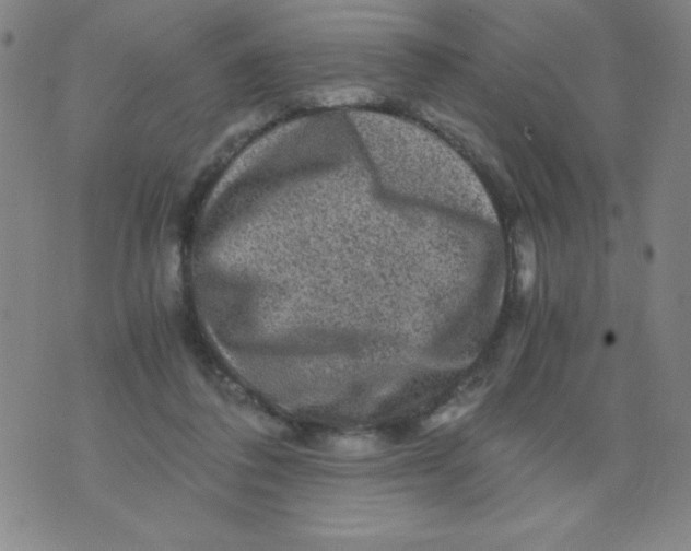 X0000075920308200610062214