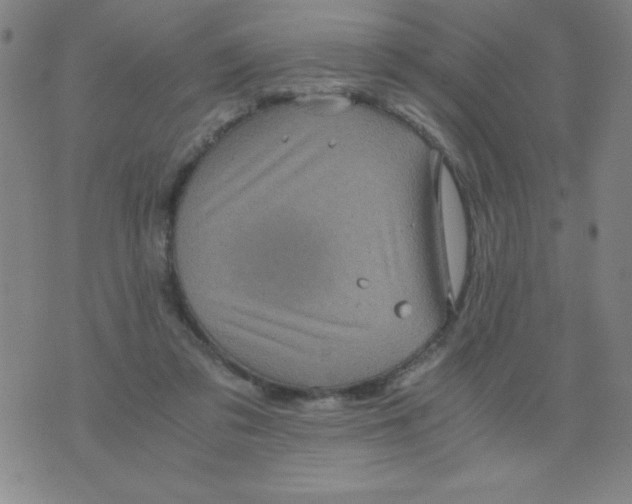 X0000075920309200610062214