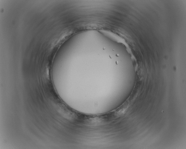 X0000075920310200610062214