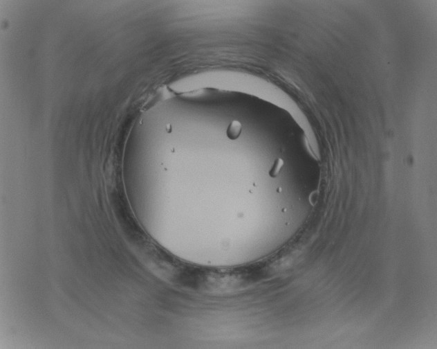 X0000075920311200610062214