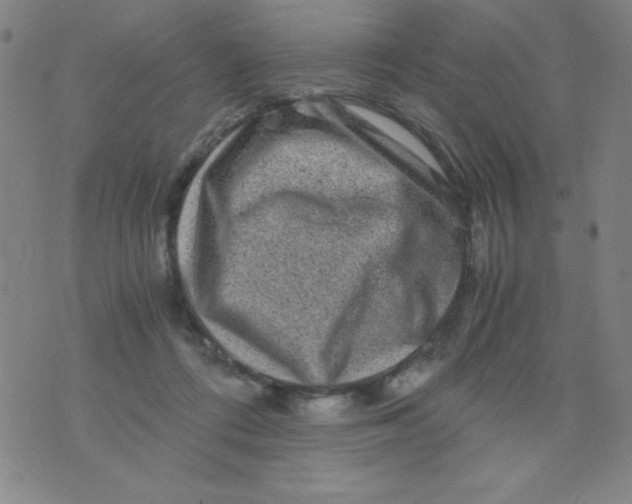 X0000075920312200610062214