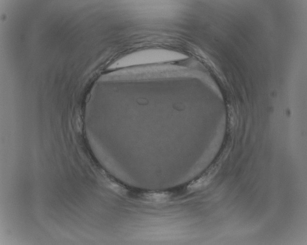 X0000075920313200610062214