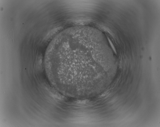 X0000075920314200610062214