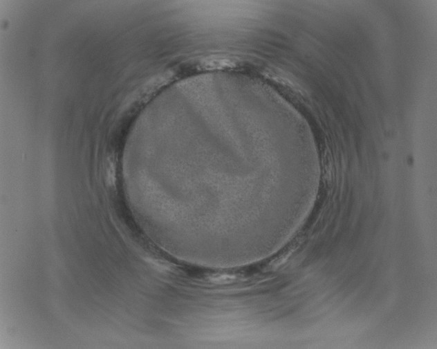 X0000075920315200610062214