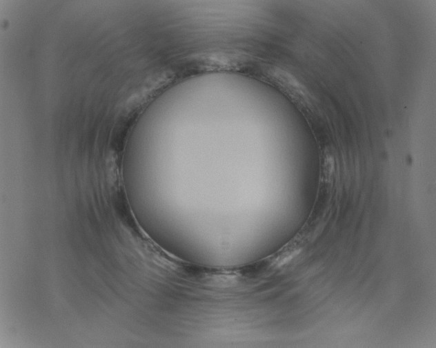 X0000075920318200610062214