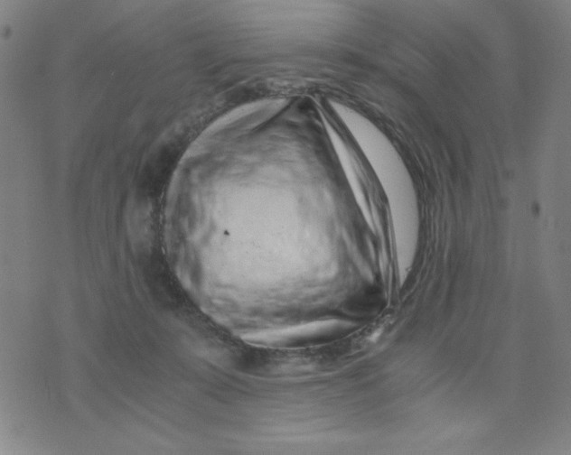 X0000075920319200610062214