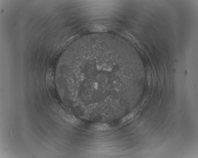 X0000075920322200610062214