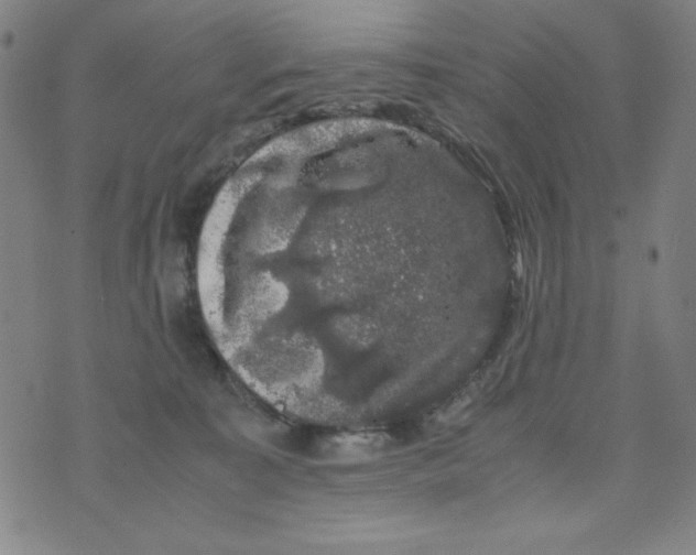 X0000075920323200610062214