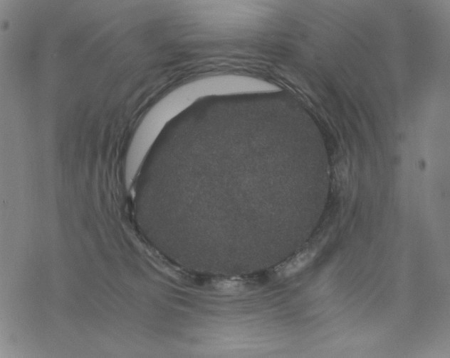 X0000075920325200610062214