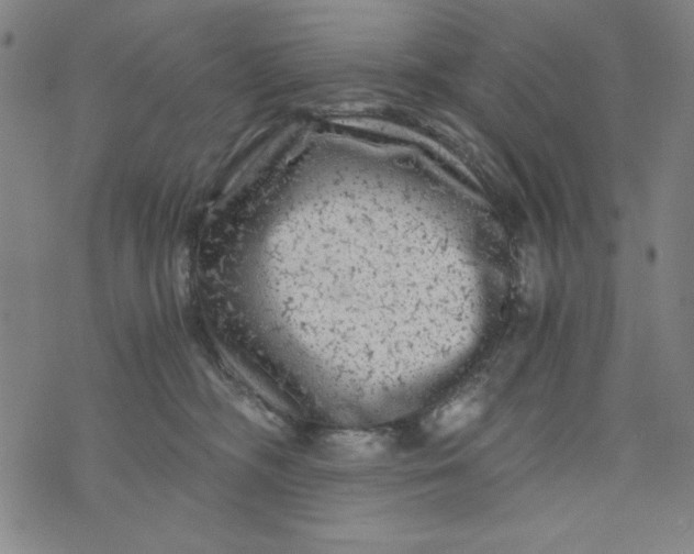 X0000075920326200610062214