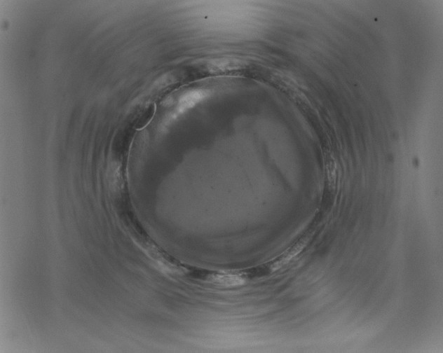 X0000075920327200610062214