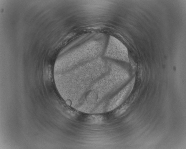 X0000075920328200610062214