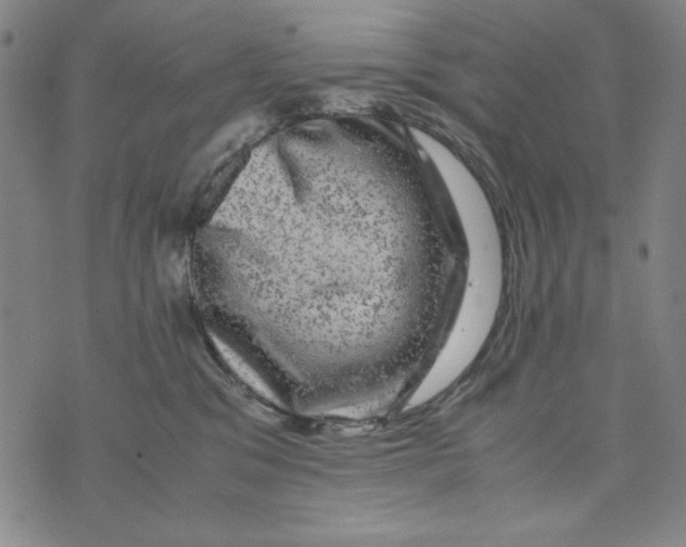 X0000075920329200610062214