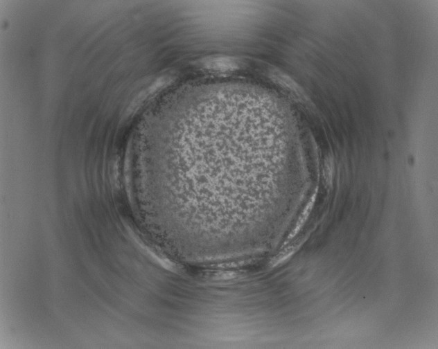 X0000075920330200610062214