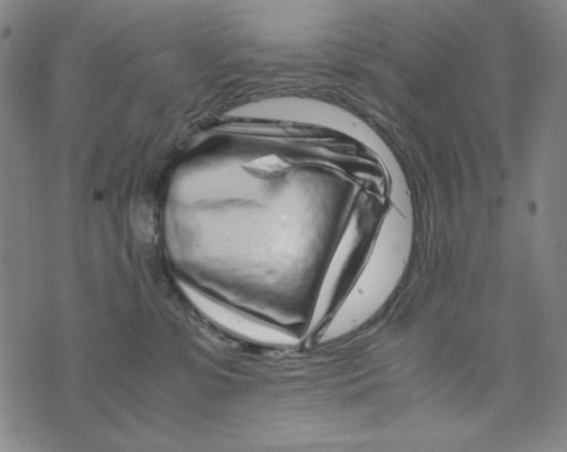 X0000075920331200610062214