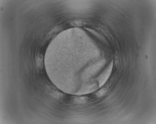 X0000075920332200610062214