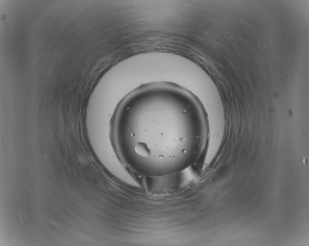 X0000075920333200610062214