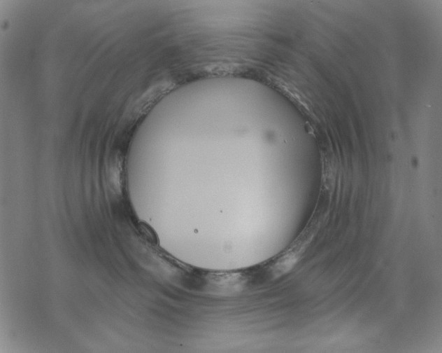 X0000075920334200610062214