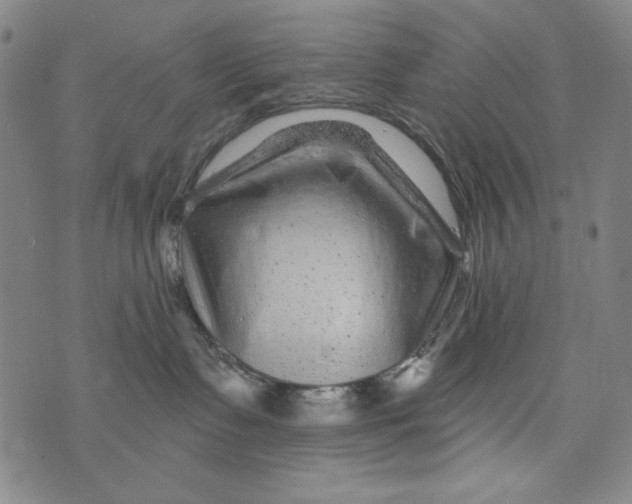 X0000075920335200610062214