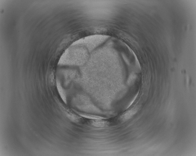 X0000075920336200610062214