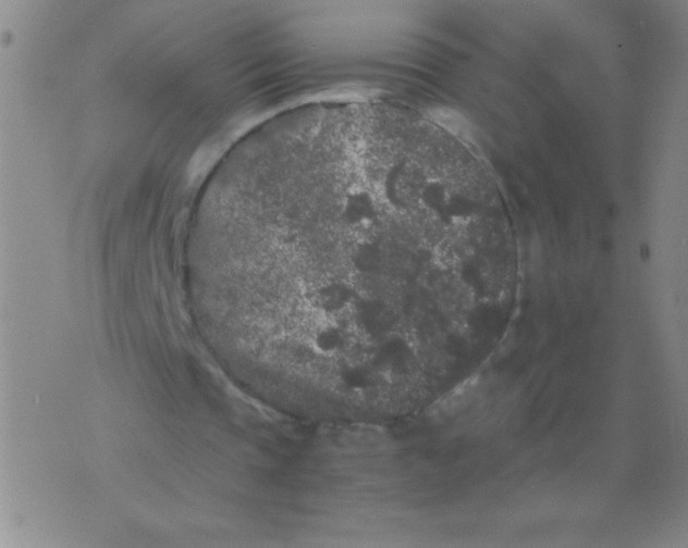 X0000075920337200610062213