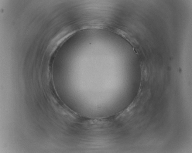 X0000075920338200610062213