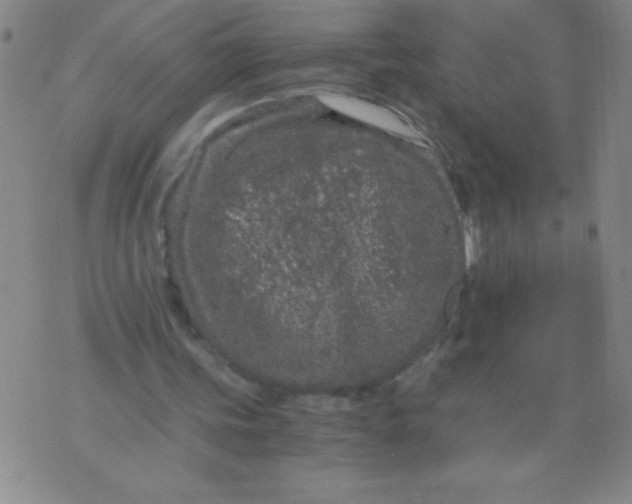 X0000075920339200610062213