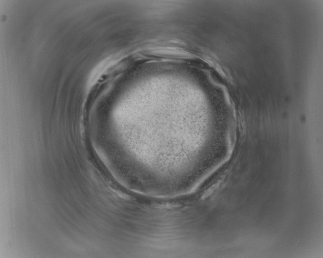 X0000075920340200610062213