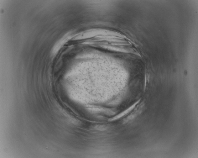 X0000075920341200610062213