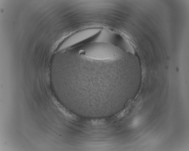 X0000075920345200610062213