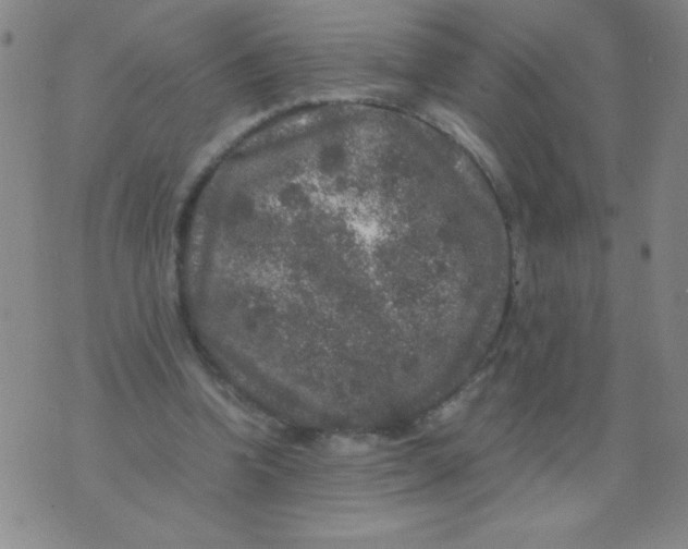 X0000075920346200610062213