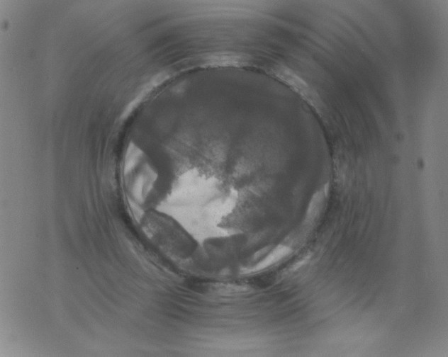 X0000075920347200610062213