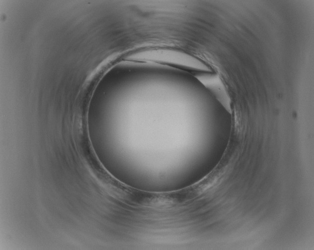 X0000075920348200610062213