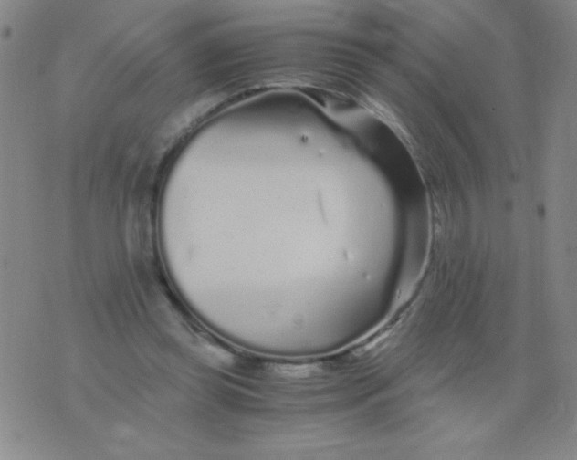 X0000075920349200610062213