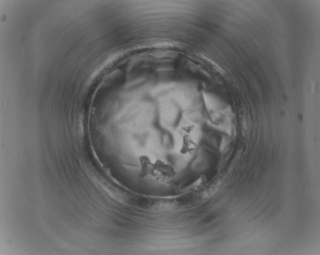 X0000075920350200610062213