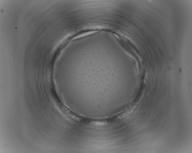 X0000075920352200610062213