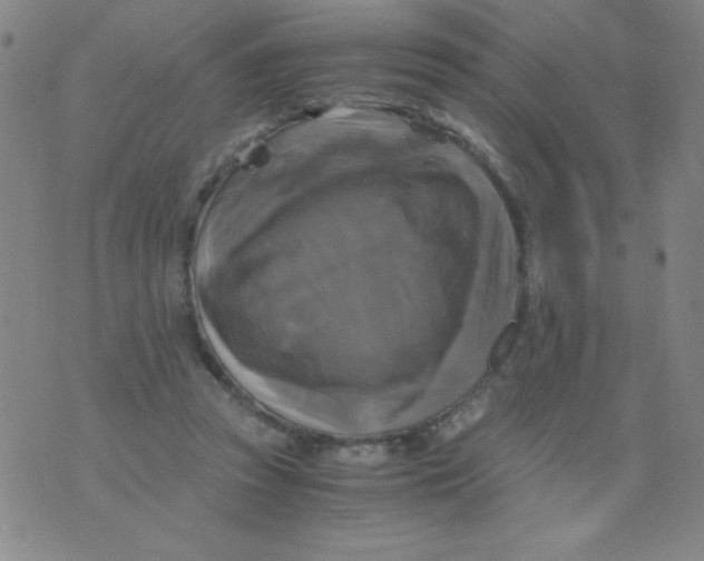 X0000075920353200610062213