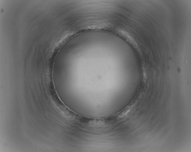 X0000075920354200610062213