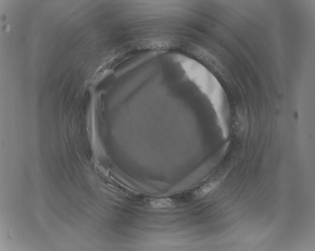 X0000075920355200610062213