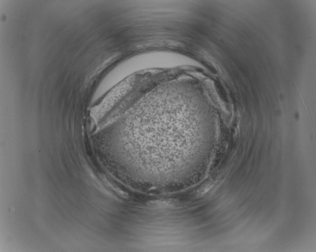 X0000075920356200610062213