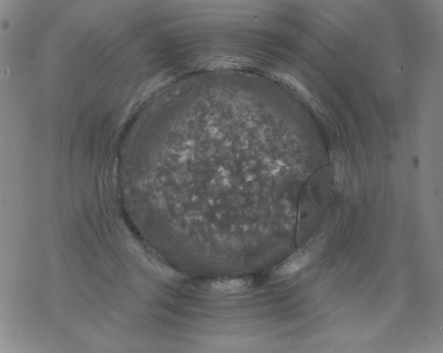 X0000075920357200610062213