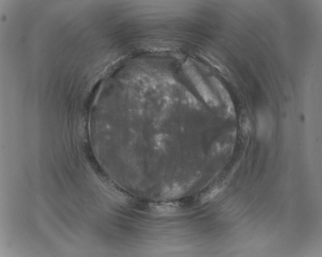 X0000075920359200610062213