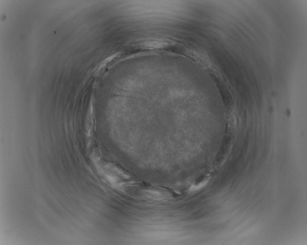 X0000075920360200610062213