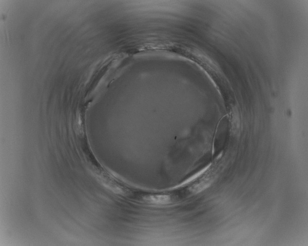 X0000075920361200610062213