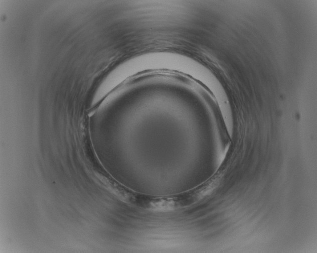 X0000075920362200610062213