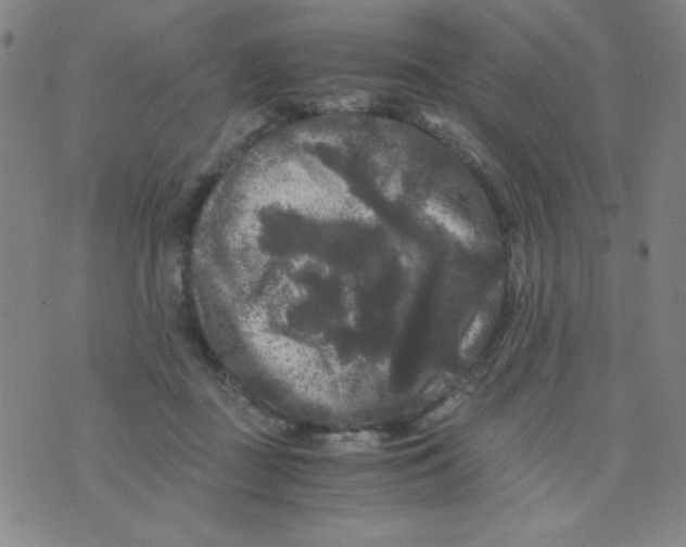 X0000075920363200610062213